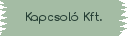Kapcsoló