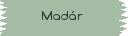 madár